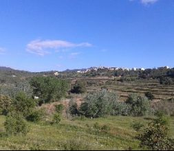 Paintball en el Priorat