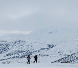 Raquetas de nieve