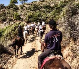 paseo a caballo por Marbella