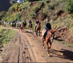 paseo a caballo con niños