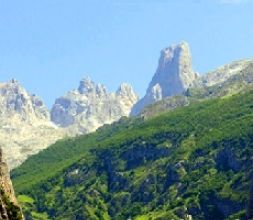 Naranjo de Bulnes