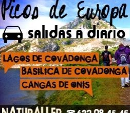 Lagos de Covadonga, Picos de Europa