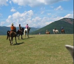 Paseos a caballo