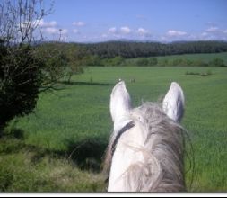 Excursión a caballo