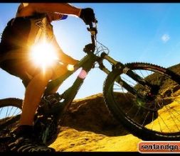 Alquiler de bicicletas