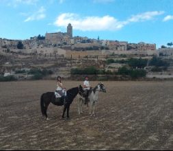 Cervera (Ruta dels Castells)