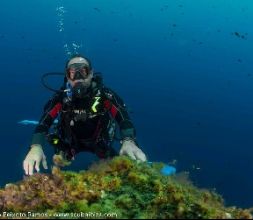 Cursos de Buceo en Ibiza