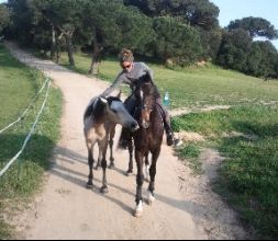 Disfruta de los caballos con nosotros