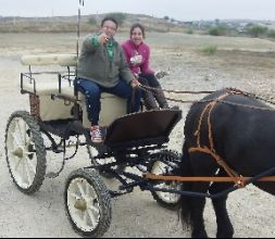 PASEOS EN CARRUAJE