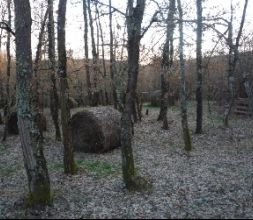 Campo de paintball en el bosque