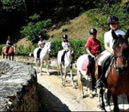 Paseo a caballo por el Valle de Mena