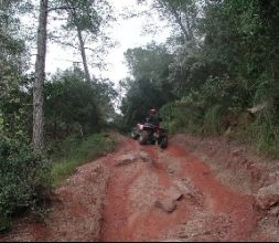 Rutas en Quad