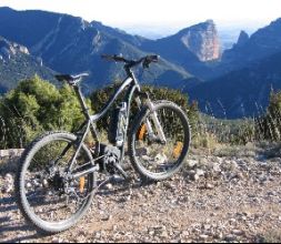 Verdebike