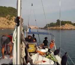 Velero Salou-Mallorca