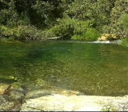 Zona fluvial 2 