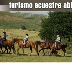 Cabecera