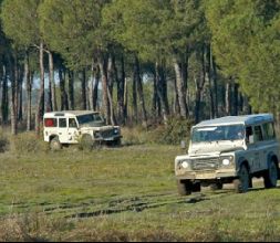 Rutas en Doñana