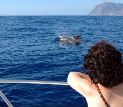 Paseos en barco por La Gomera