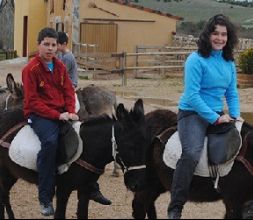 Paseo en burro