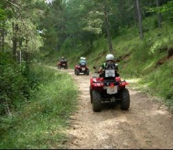 Naturaleza y motor