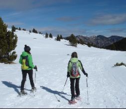 Raquetas de nieve