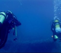 Cursos de buceo