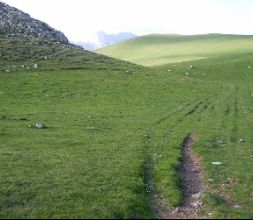 Parque Natural de Ubiñas-La Mesa 