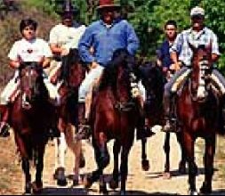 Caballos del Arlanza