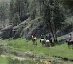 Rutas y paseos a caballo