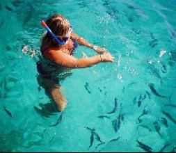 Snorkeling