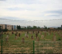 Múltiples escenarios