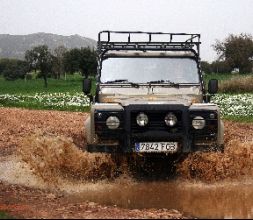 SAFARIS 4 X 4 EN CABAÑEROS