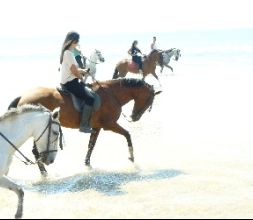 Pasea a caballo por las playas vírgenes