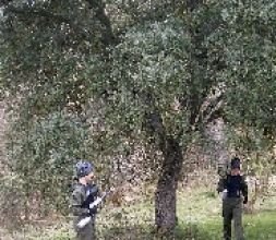 Paintball Madrid estrategia