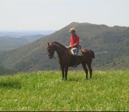 Rutas en caballo por la Sierra