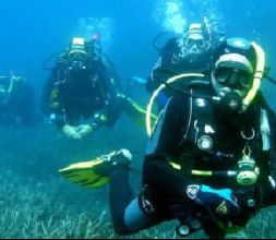 Cursos de buceo