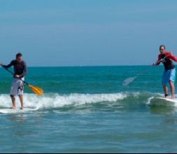 Paddle Surf