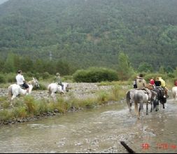 Paseos a caballo