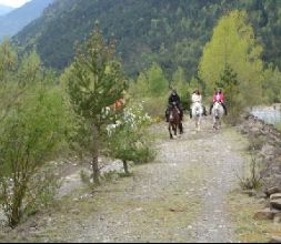 Excursiones a caballo