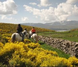 Gredos a Caballo con el piorno en flor