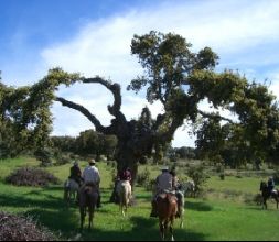 Gredos a Caballo, recorriendo Avila