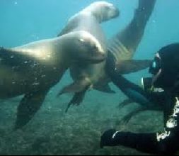 Viajes de buceo