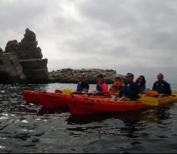 Isla de los colomos.Zona Zepa!!