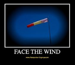 Face The Wind