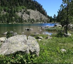 Naturalismo en Parques Naturales