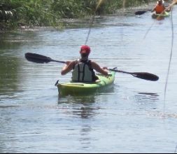 Canoa por el Delta del Ebro