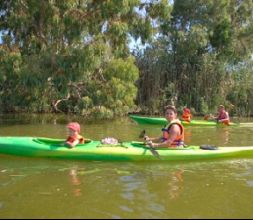 Kayak en el río Ebro (Delta del Ebro)