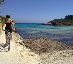 Bike Tours Mallorca