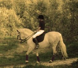 Rutas a Caballo Sierra de Cádiz 