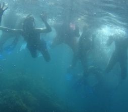 Snorkeling